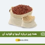 کینوا چیست