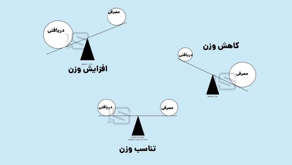ارتباط کالری دریافتی با افزایش و کاهش وزن