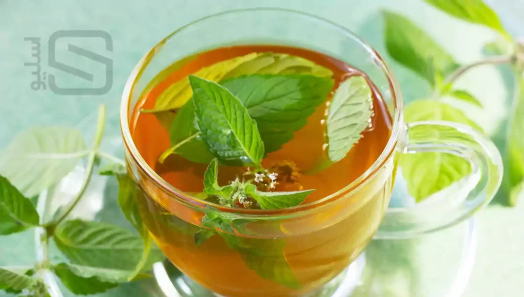 دمنوش نعناع