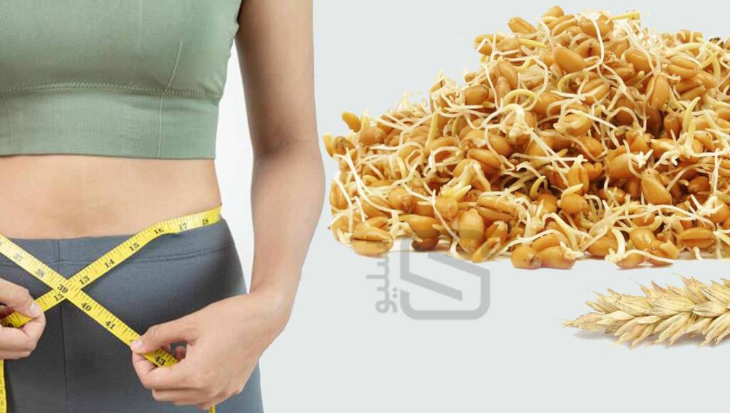 جوانه گندم برای لاغری