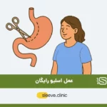 عمل اسلیو رایگان